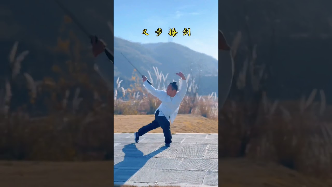 简单的剑术组合剑术 剑法 武术 圆你一个武侠梦