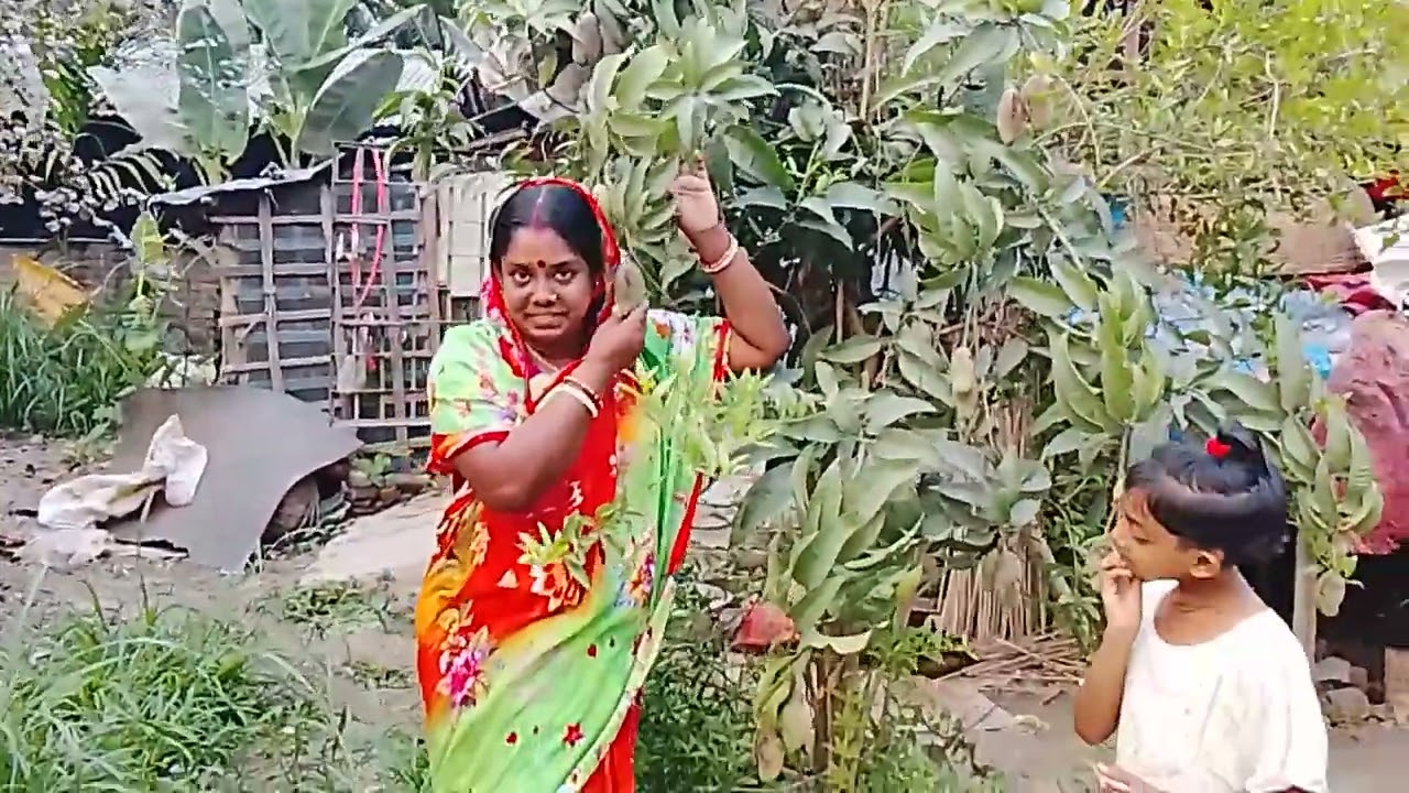 আমার  ছোট  কাকার  বারো মাস আম গাছে থোকা থোকা আম হয়েছে । 