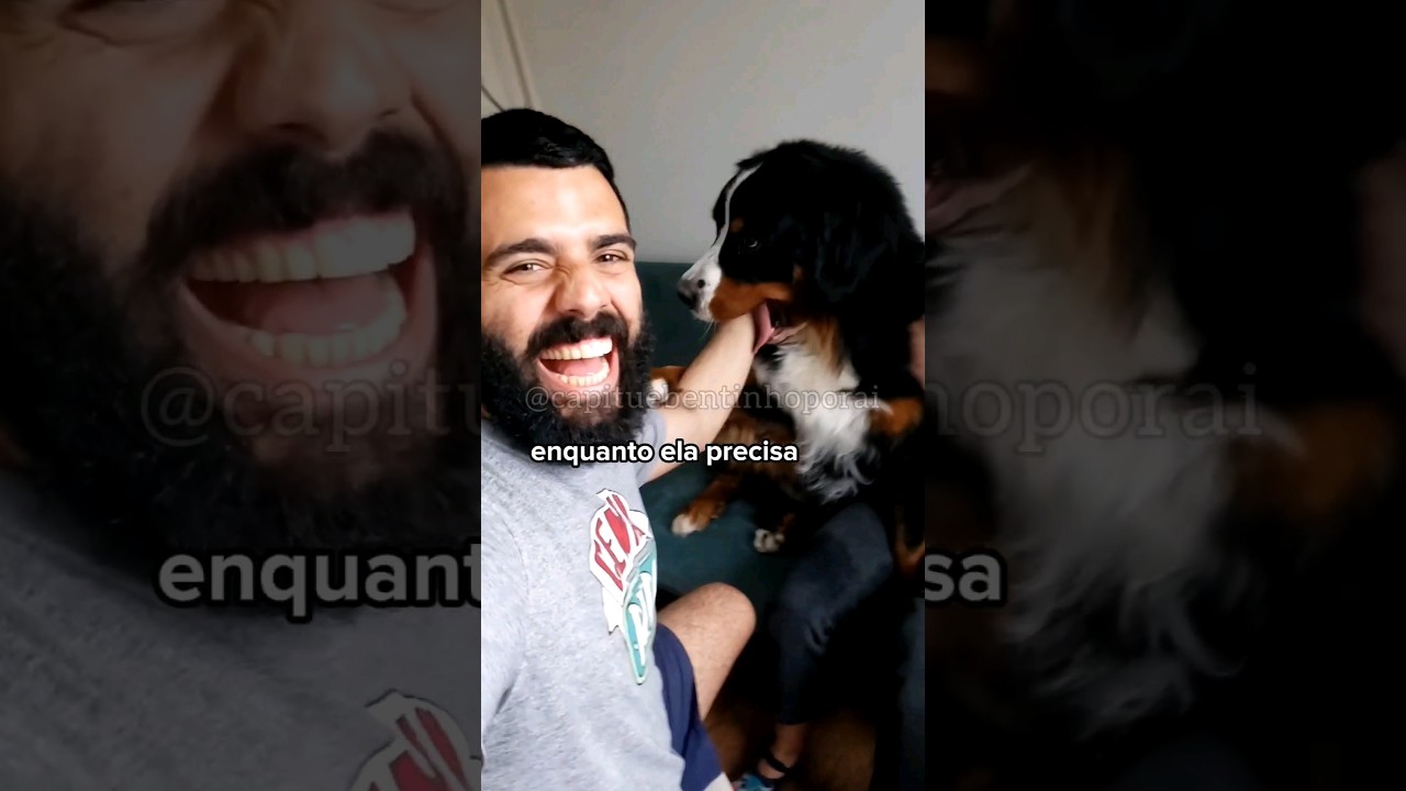 Como foi morar 2 meses na Su&iacute;&ccedil;a l Pet Sitting l House Sitting