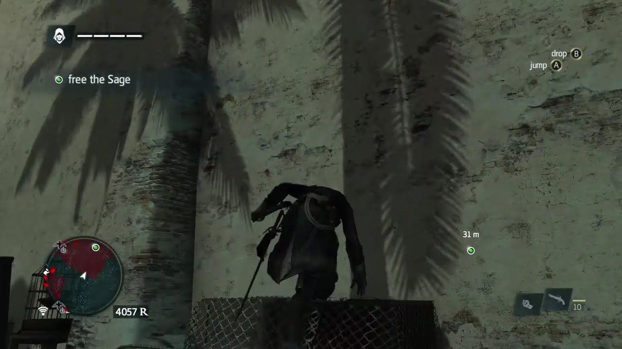 Petting Animals in AC Black Flag