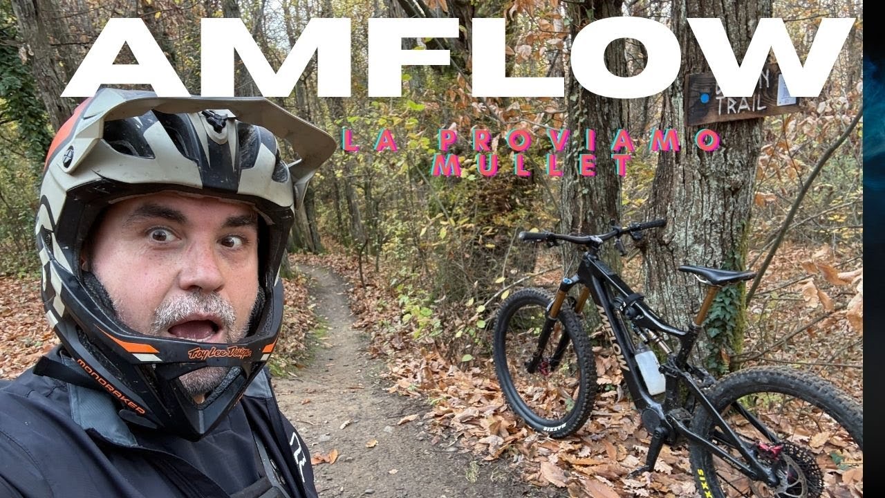 Amflow PL Pro montata Mullet ..funziona meglio?