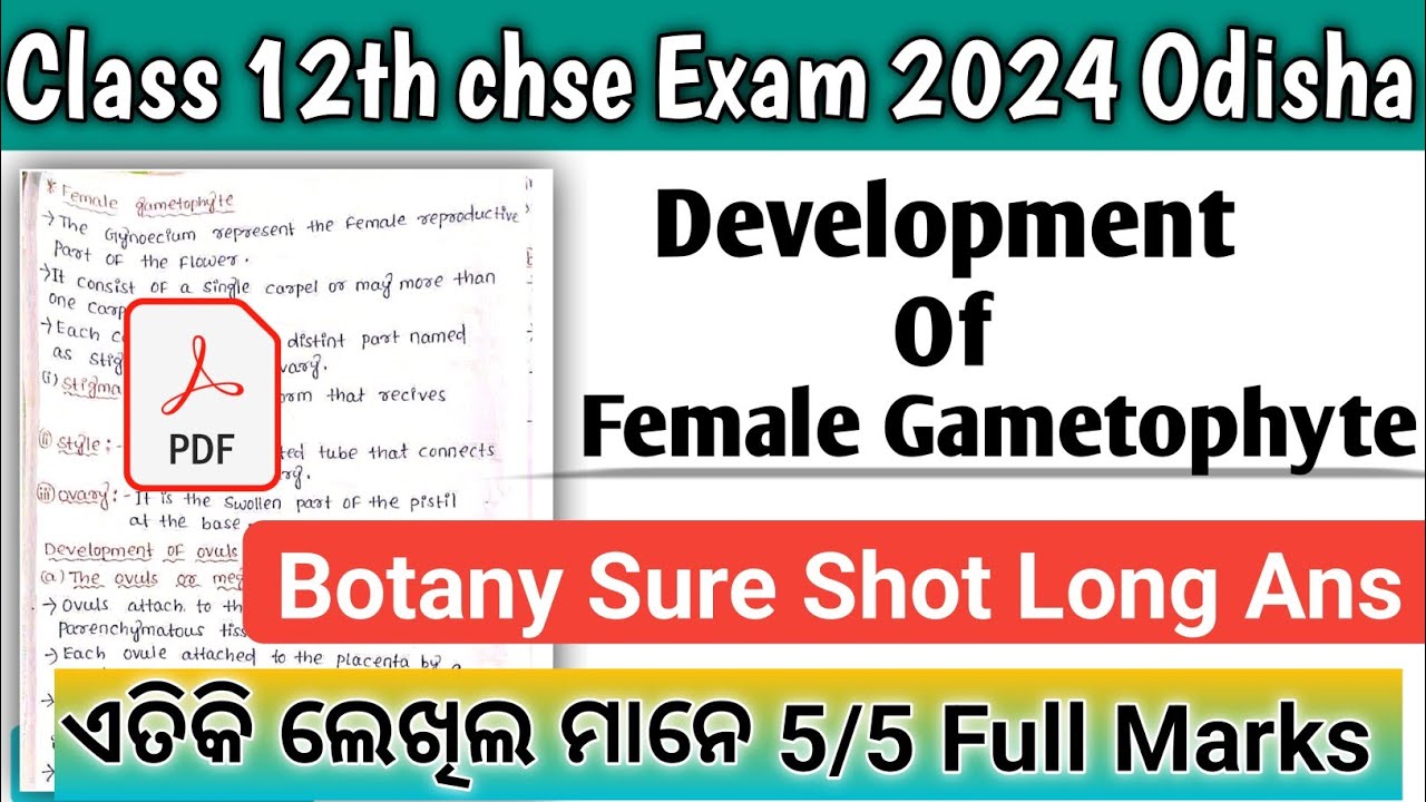 Development Of Female Gametophyte Long Question Answer In odia||Chse Botany Selection 2024