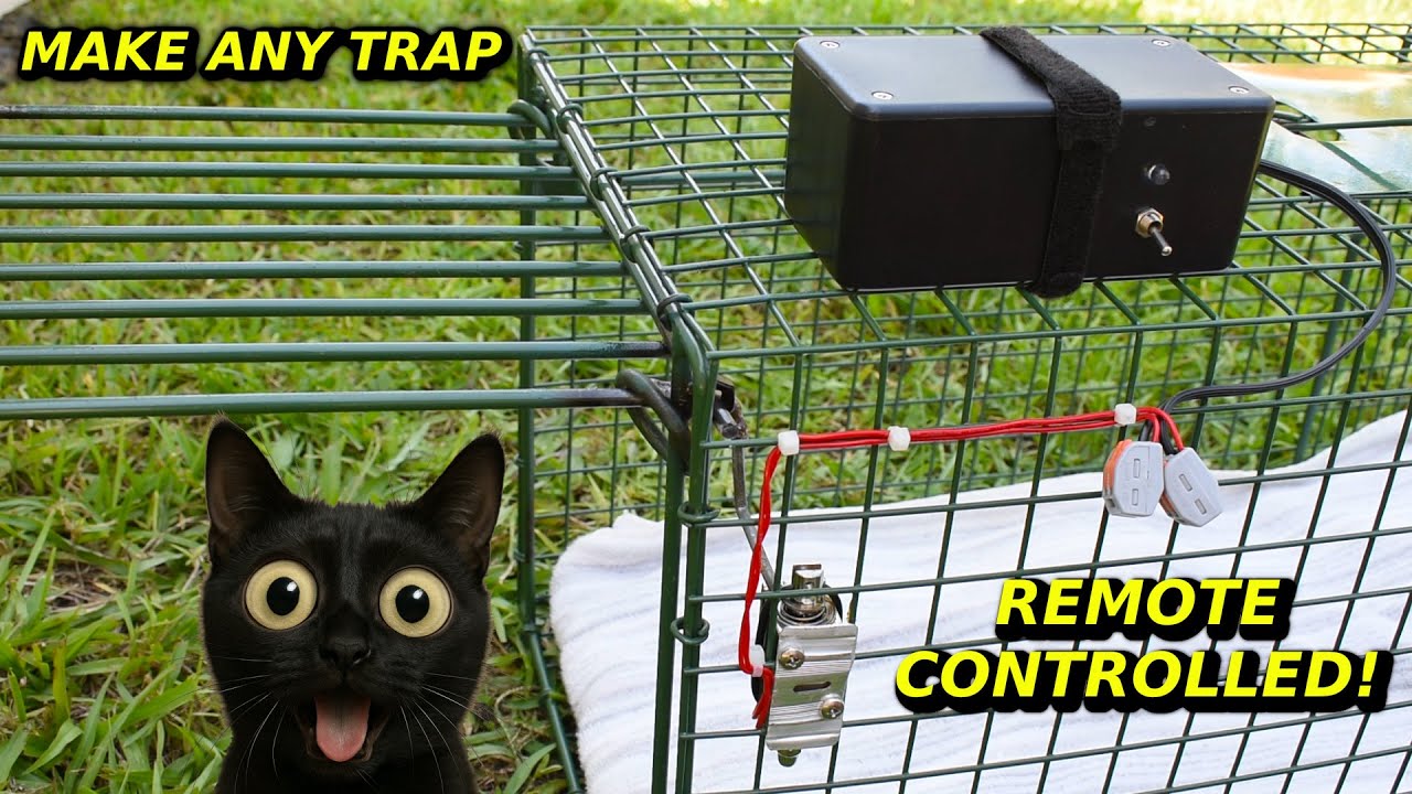 DIY Remote Control Triggered Animal Trap ~ Cat & Kitten TNR