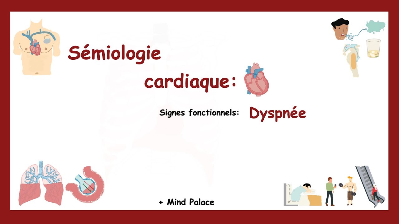 Signes Fonctionnels Cardiaques: La Dyspnée + Mind Palace ( Pour Mémoriser)- Sémiologie Cardiaque.