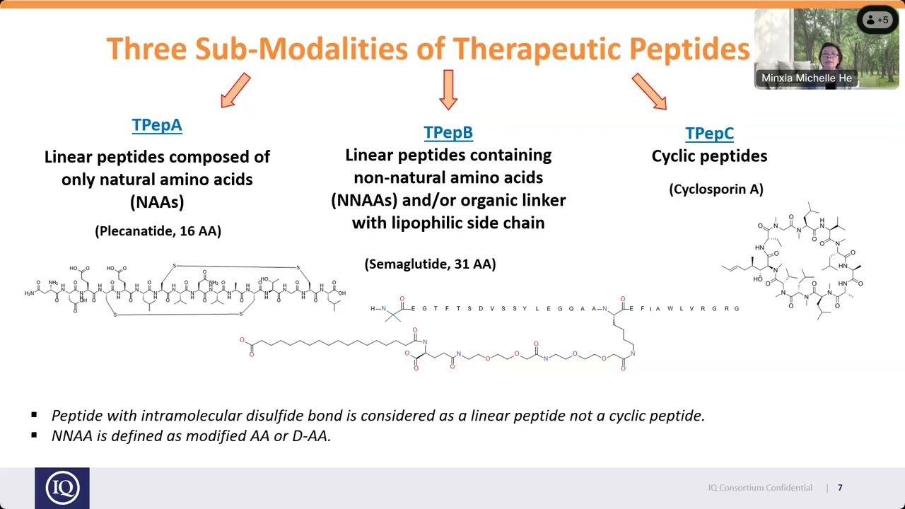 Metabolism and Excretion of Therapeutic Peptides Current Industry Practices, Perspectives, and Recom