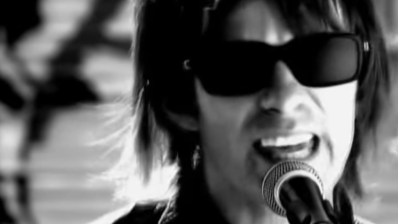 The Strays - You Are The Evolution