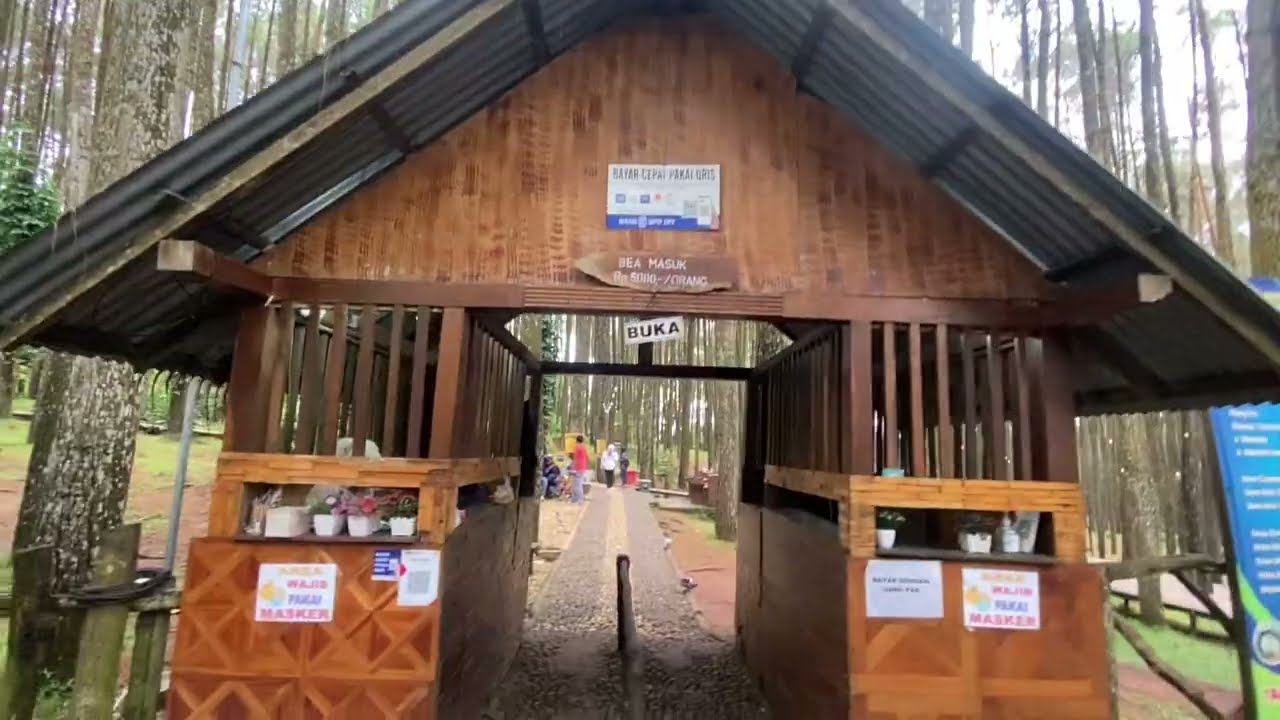 HUTAN PINUS MANGUNAN BANTUL