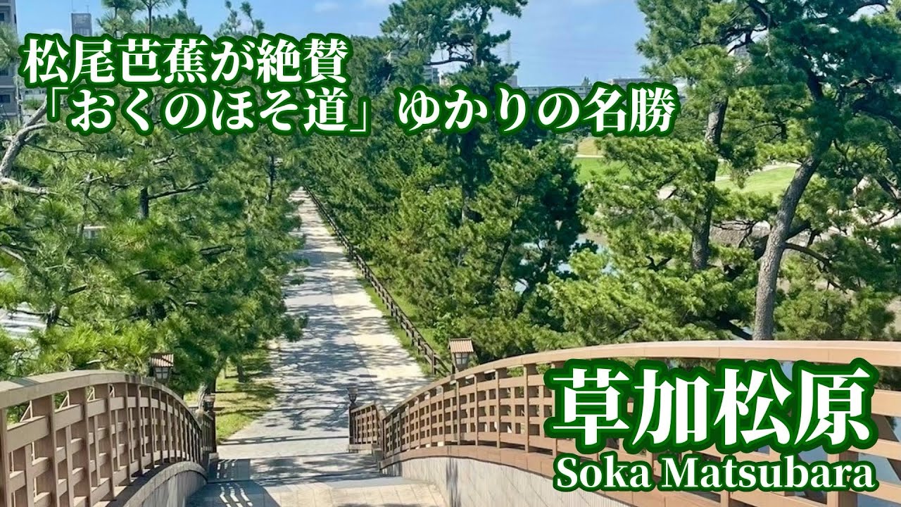 松尾芭蕉も歩いた江戸時代の面影を今に伝えてくれる【草加松原】-Soka Matsubara-
