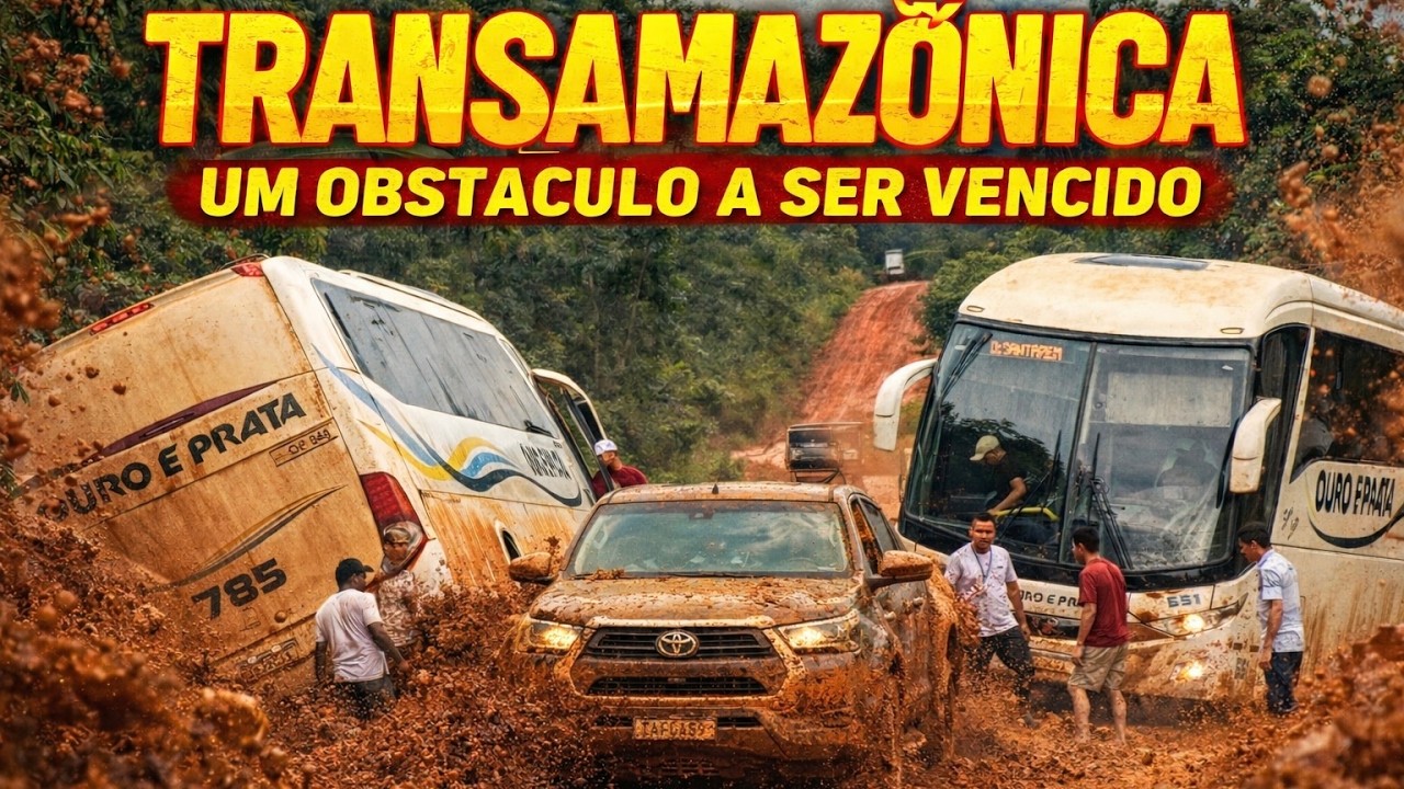 O DIA AMANHECEU, COMO EST&Atilde;O OS ATOLEIROS?