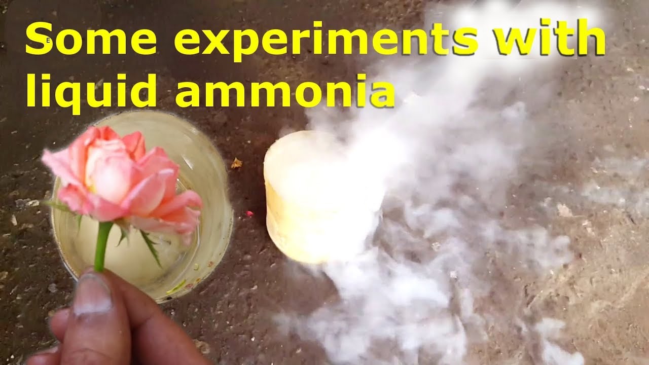 some experiments with liquid ammonia