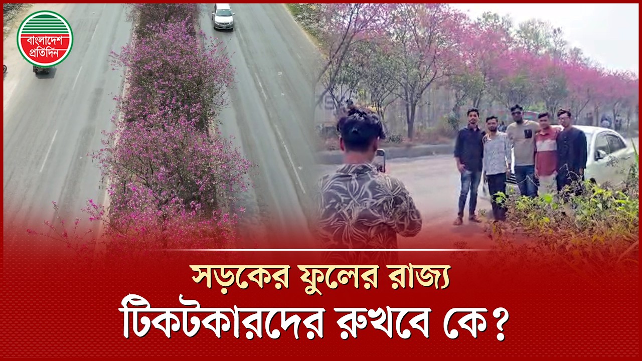 গাজীপুরে বিদেশের সৌন্দর্য! টিকটকারদের প্রতিরোধ করবে কে? | Gazipur | Tiktoker