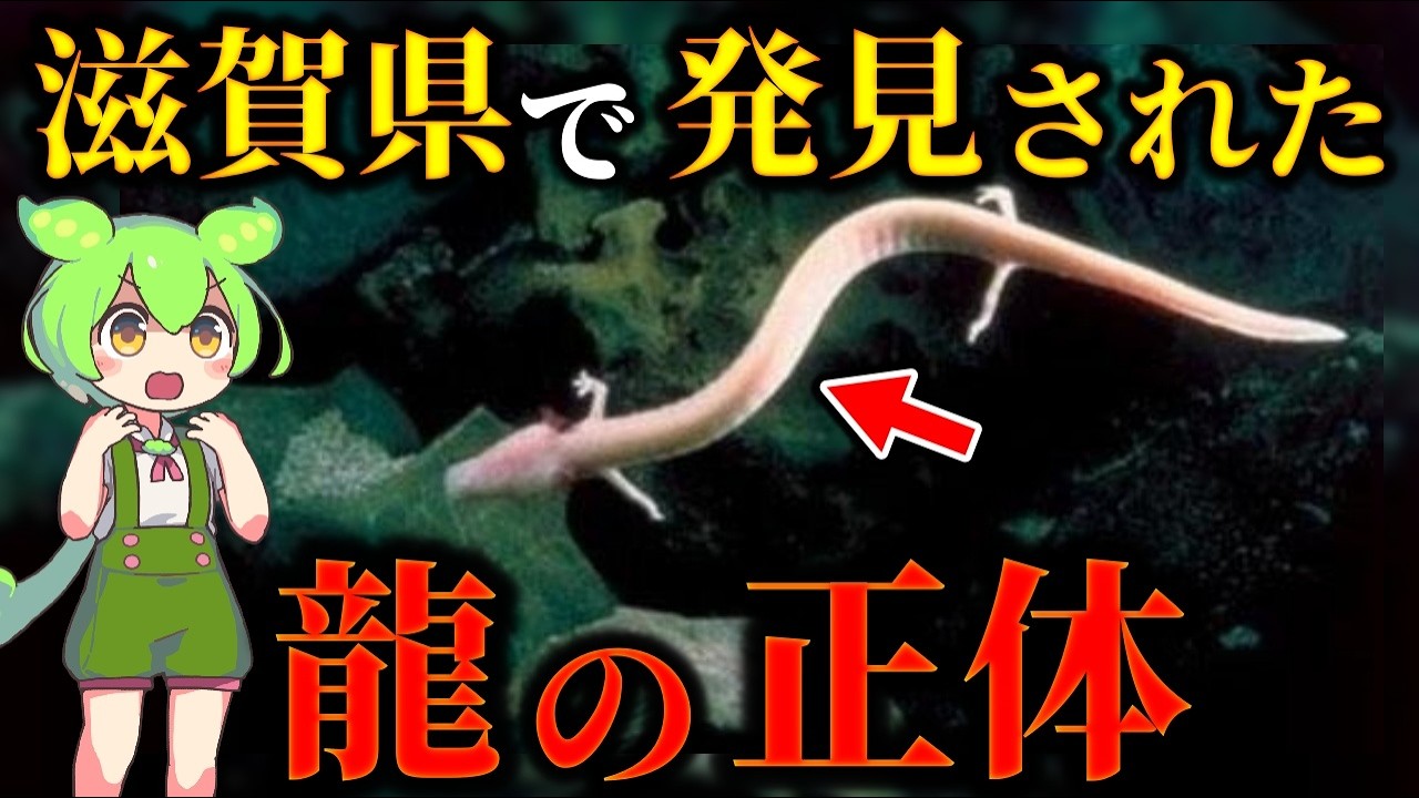 龍は実在した！古代から伝わる龍の伝説…各地で見つかる龍の正体とは