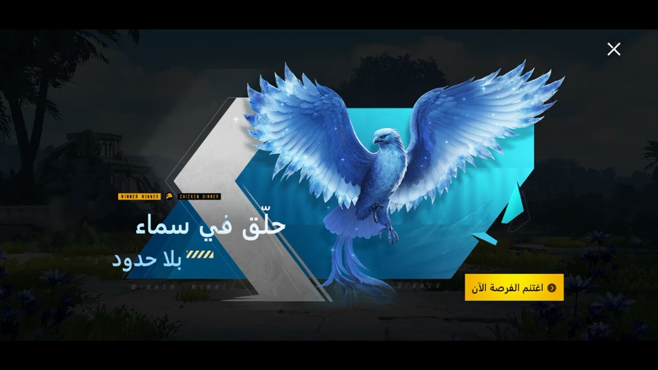 ببجي لاول مره