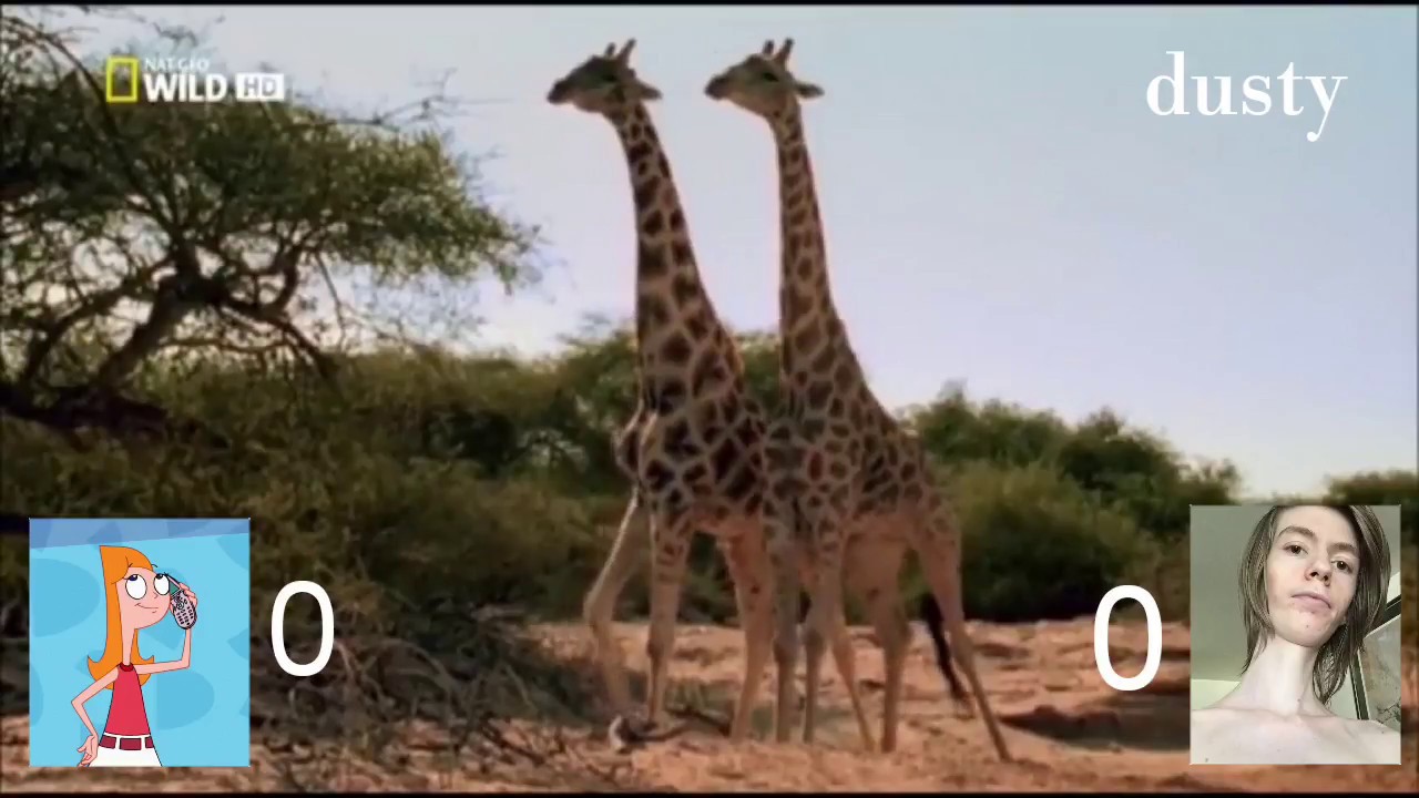 damn long neck vs. candace
