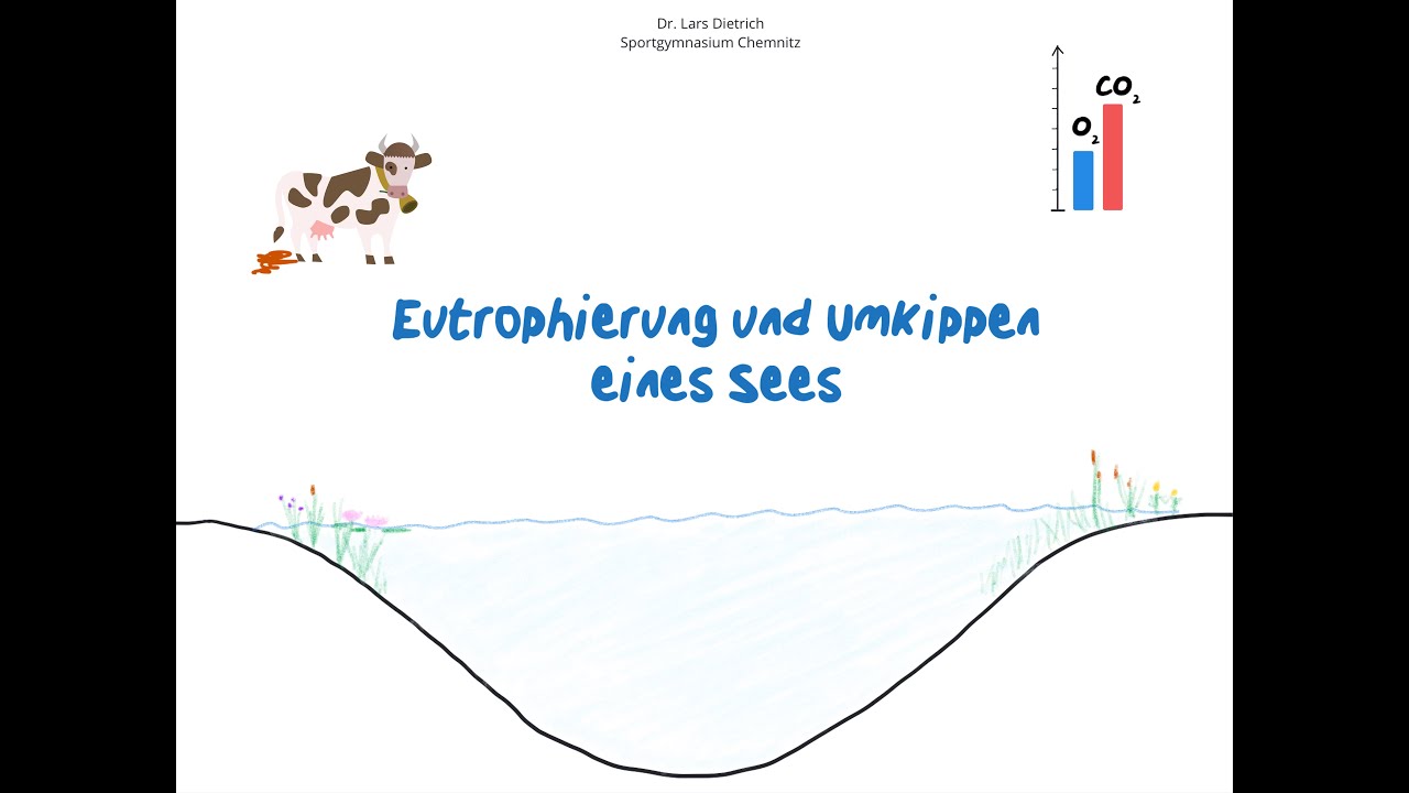 Eutrophierung und Umkippen eines Sees