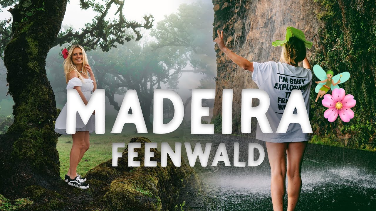 Madeira - Der schönste Wasserfall und ein magischer Wald 🌈✨
