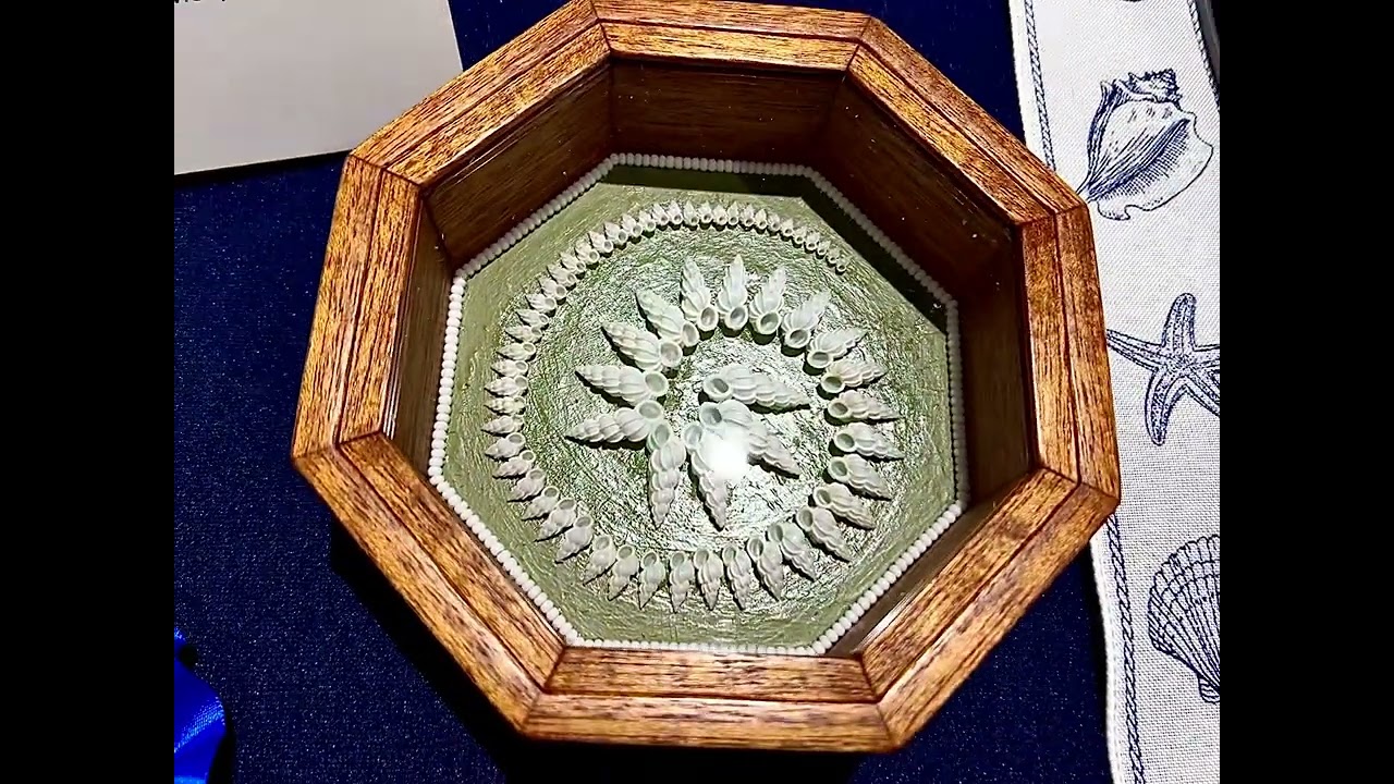 2025 Space Coast Seashell Show (Part  7)