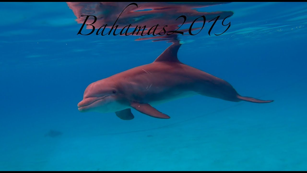 Club Med Columbus juin 2019