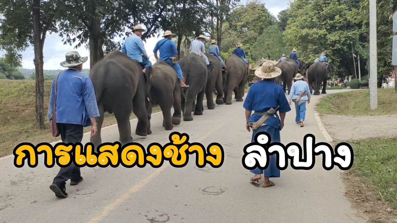 EP31 ศูนย์อนุรักษ์พันธุ์ช้างไทย ลำปาง / Thai Elephant Conservation Center, Lampang