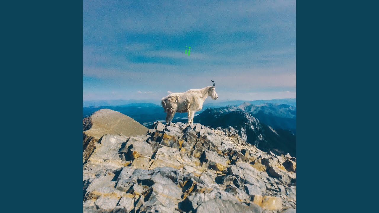 513