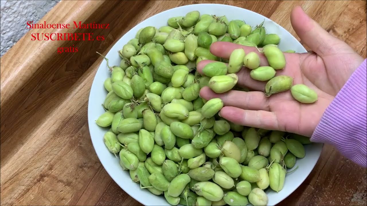 Asi cocino estos ricos garbanzos frescos.Como los conoce usted?