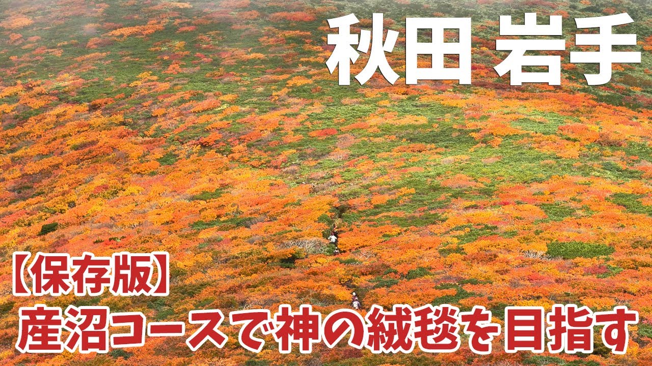 [ 秋田・岩手 2泊3日の旅 ]　#3 栗駒山登山 ≪産沼コース完全ガイド≫　～ 神の絨毯と称される栗駒山の紅葉はまさに絶景でした ～