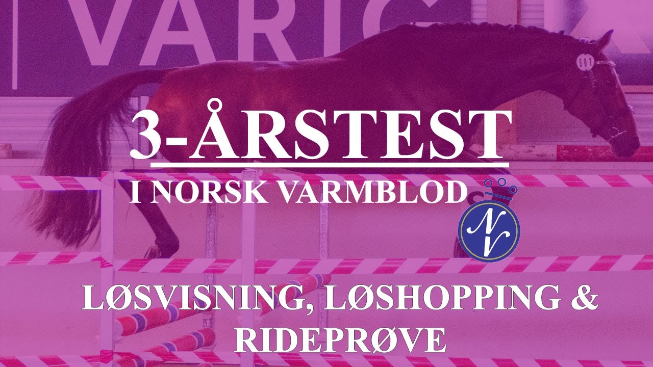 UNGHESTTEST I NORSK VARMBLOD - DEL 2