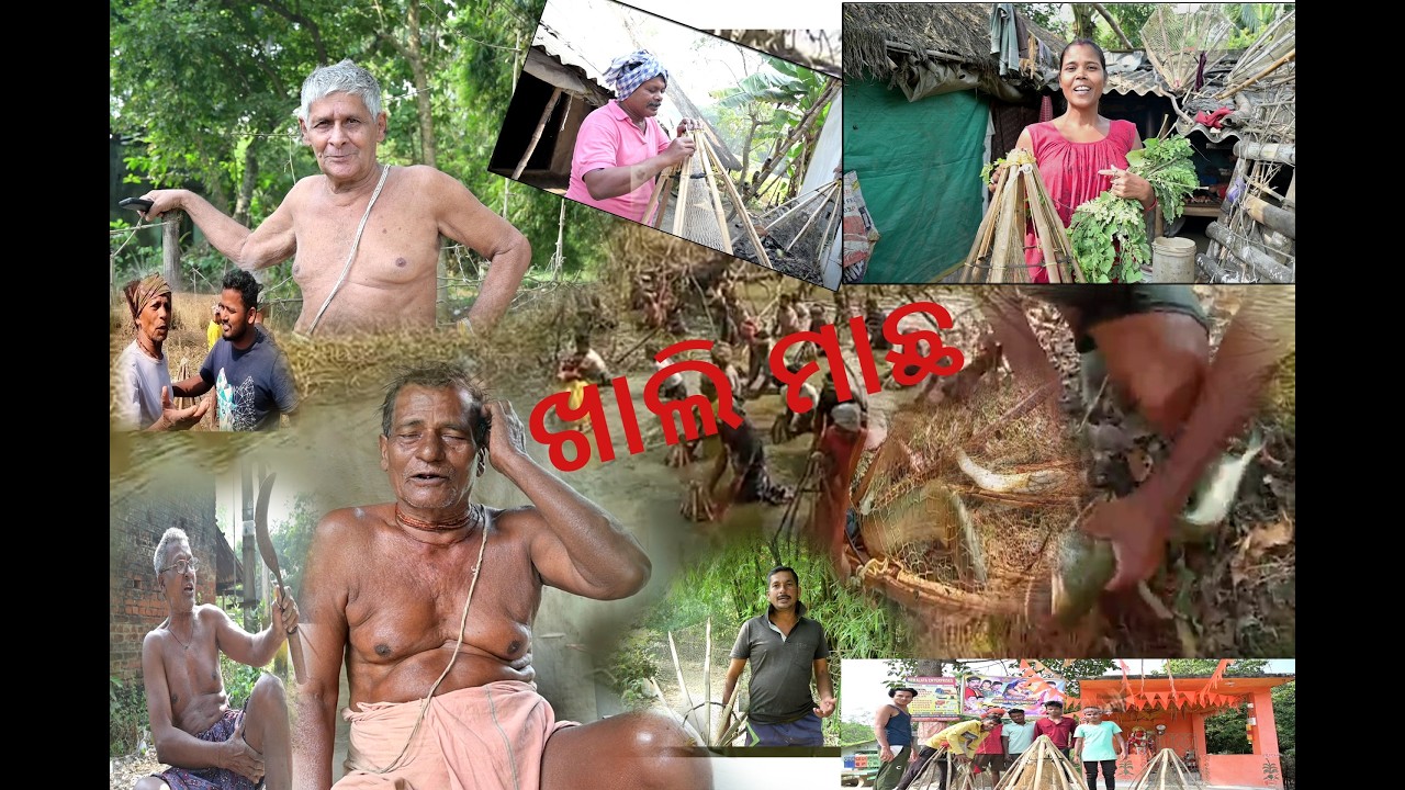 ଆମ ଗାଁ ନଇ ରେ ମାଛ ଧରା #Catching fish in our River#villagerlifestyle #catchingfish #fishingtechniques