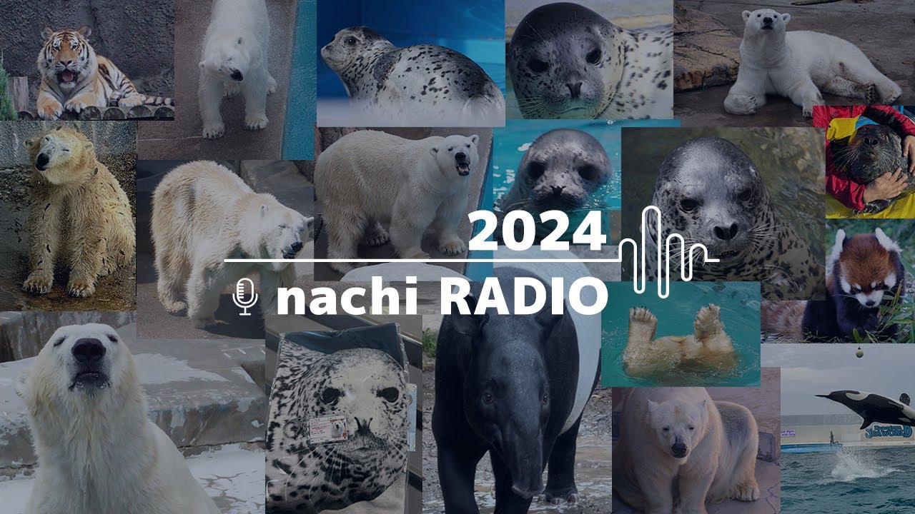 2024年ぼっち旅まとめラジオ動画 / 動物に会いに行った記録〈 nachi radio 〉