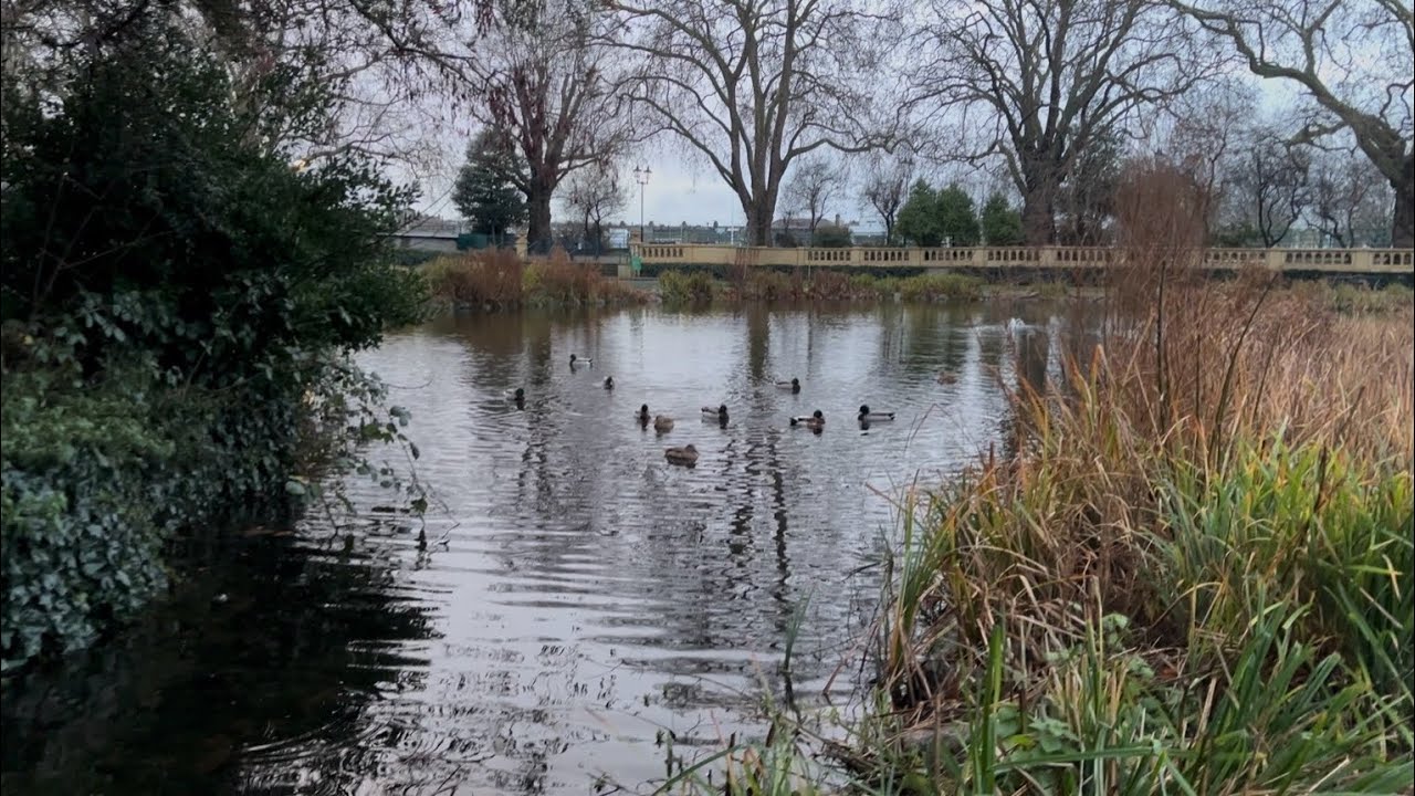 Early Morning Walk Around the Lake: Bishop&rsquo;s Park