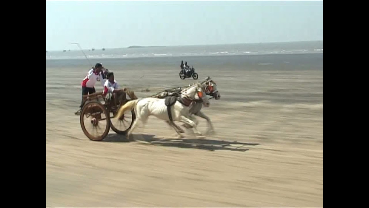 Singh is King Horse Race at Gorai Beach.