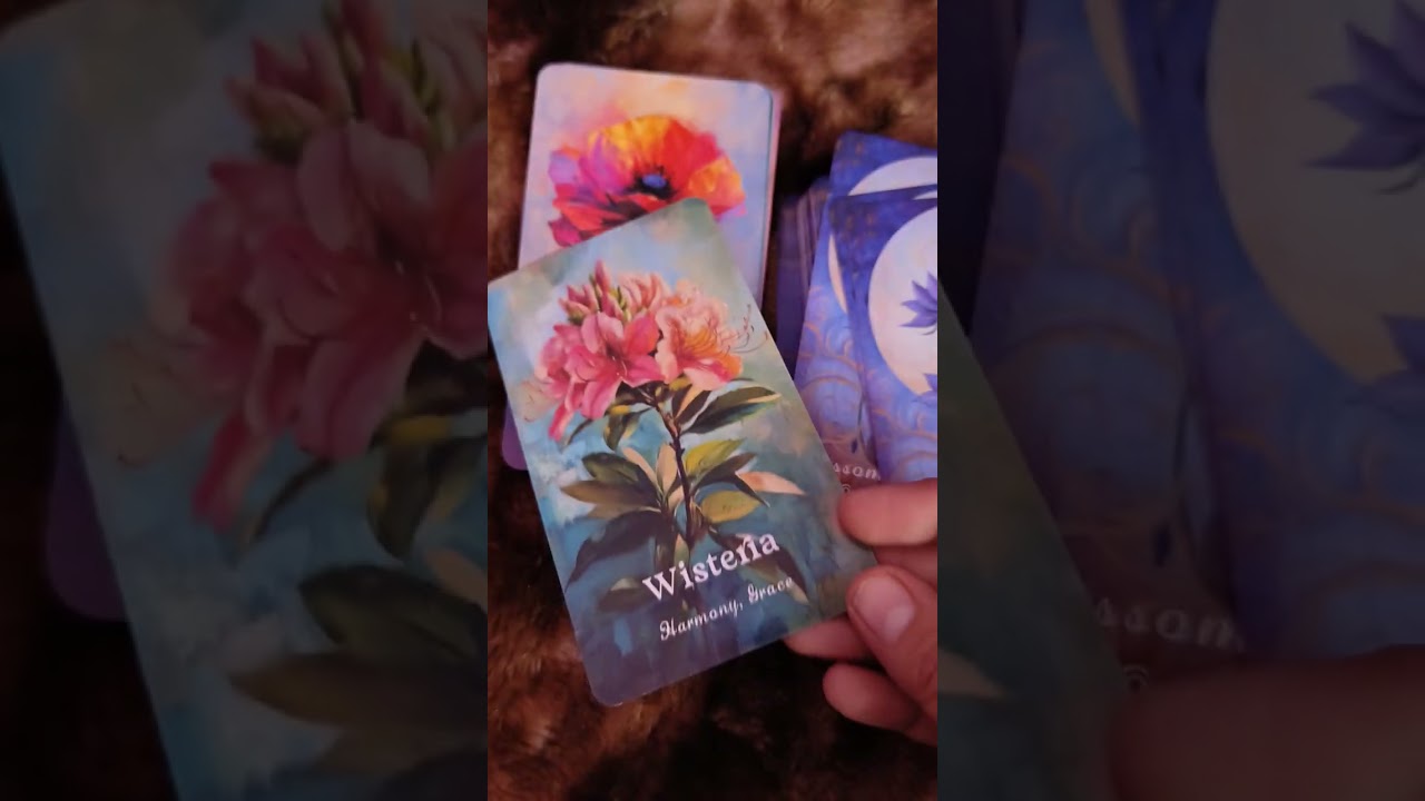 Blossoms of Wisdom Oracle Deck  | Walkthrough Video 🌷🌸🌹🌺🌻