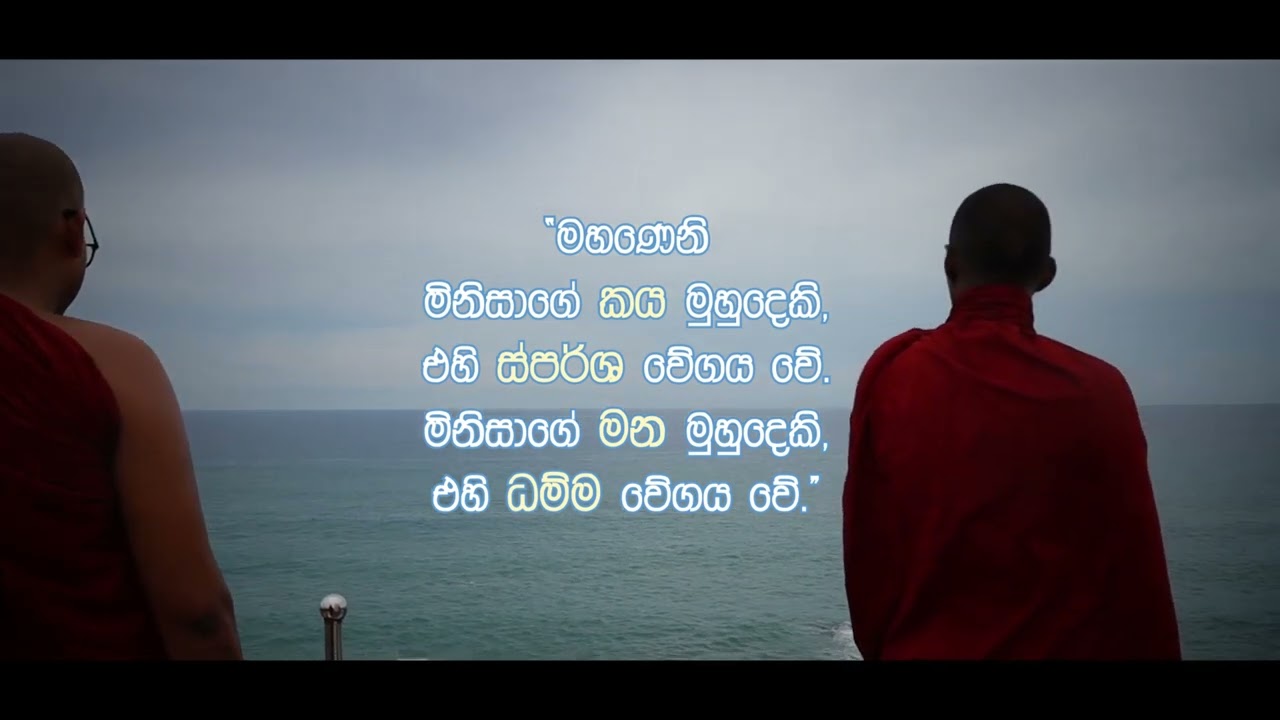 සැබෑ සමුදුර දකින්න... තරණය කරන්න!