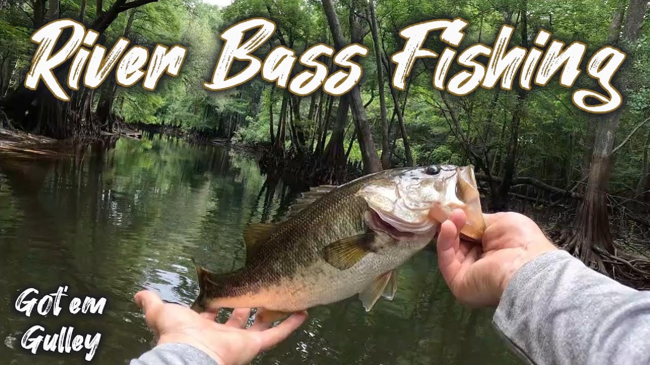 Withlacoochee River FL Bass Fishing