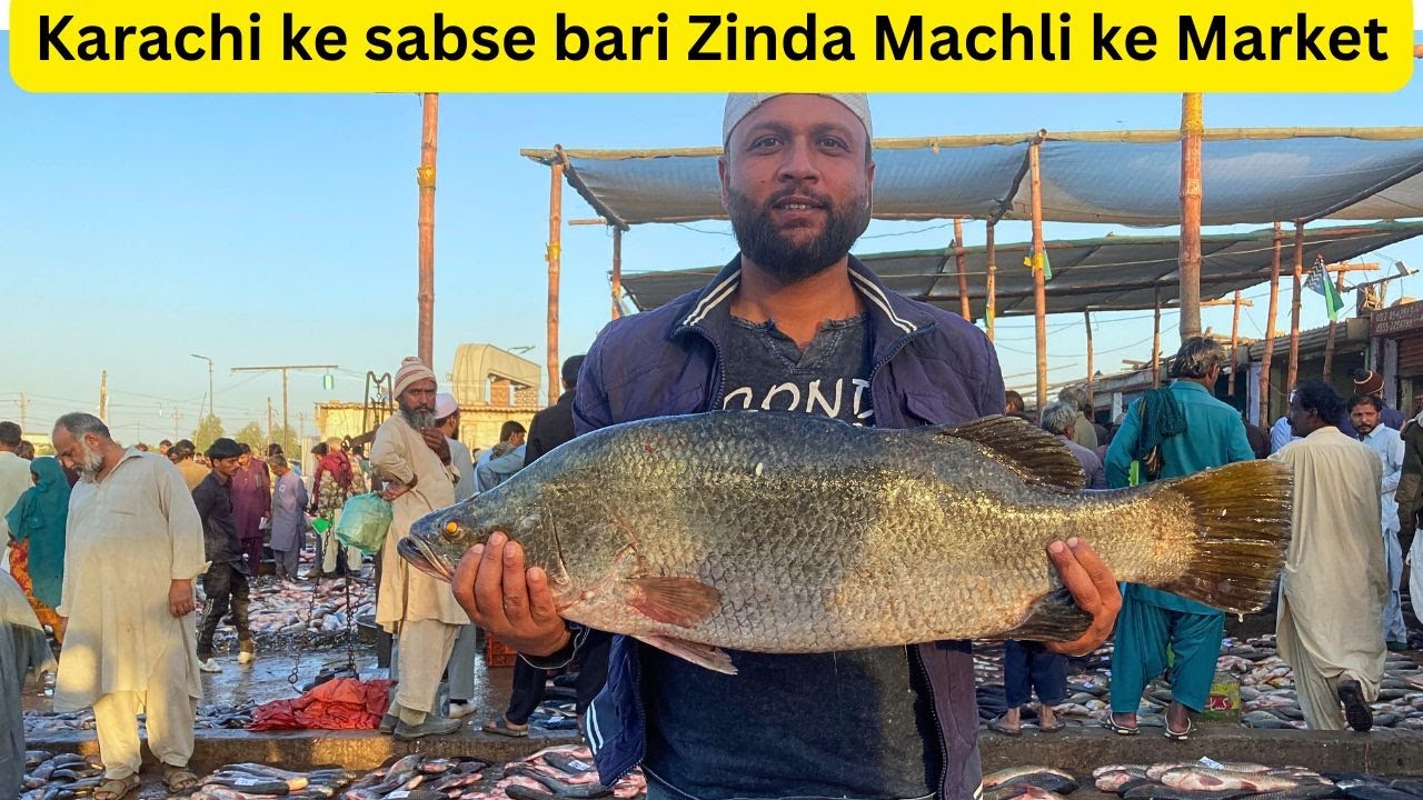 Zinda Machli ke Market | Gulshan e hadeed Meethay pani ke fish market