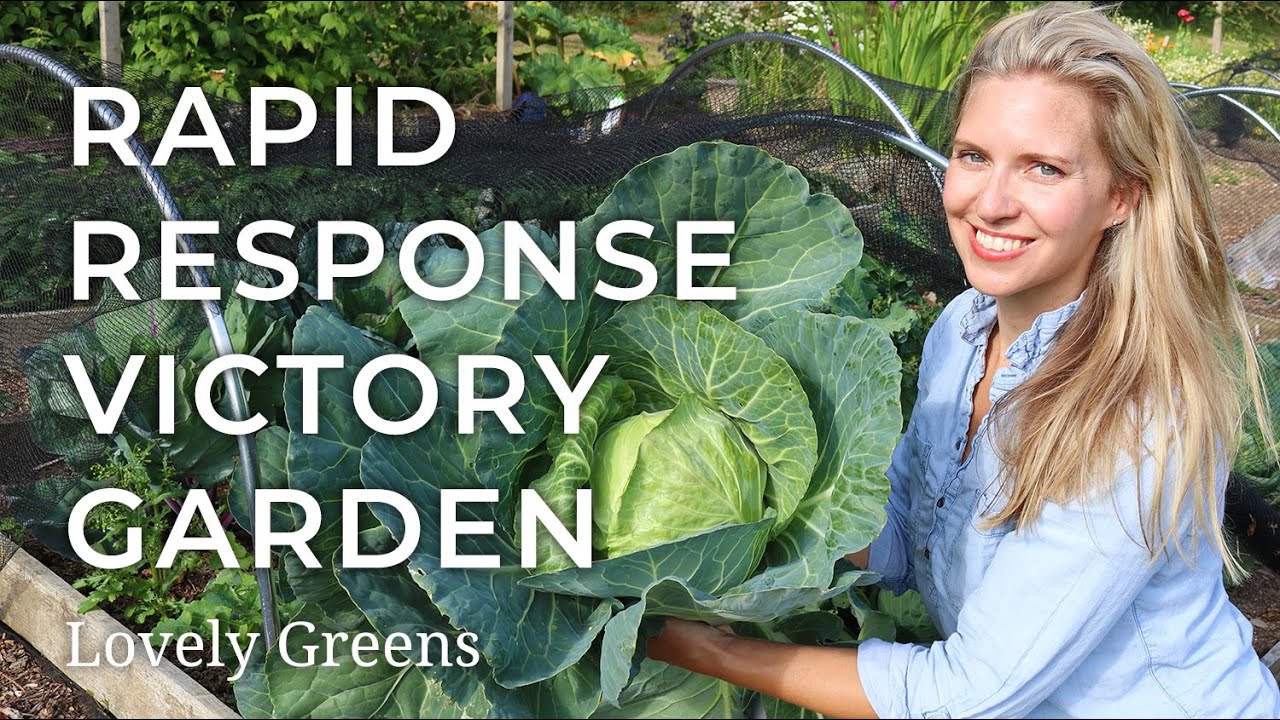 Grow a Rapid Response Victory Garden