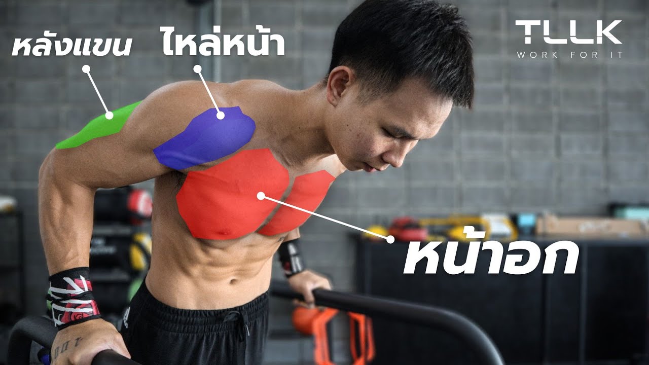 [ PAIN NO GAIN EP.2 ] Dip แบ่งการโฟกัสกล้ามเนื้ออย่างไร , เล่นไม่ให้บาดเจ็บ ?