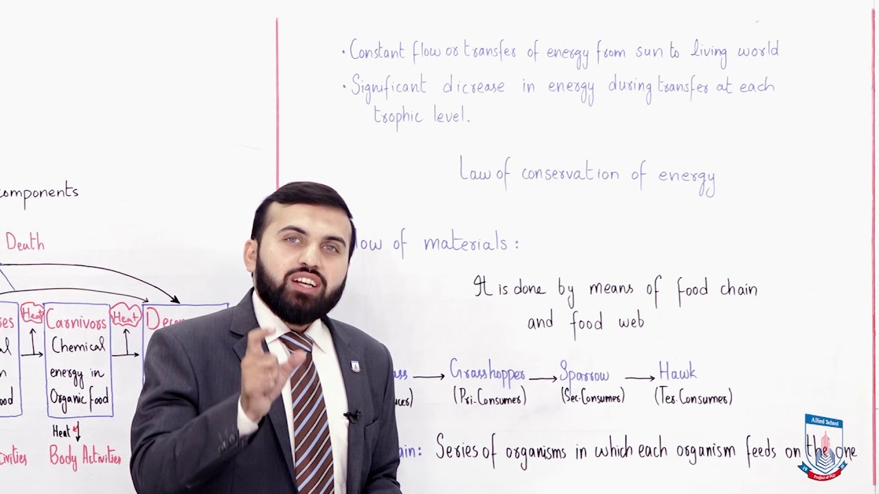 Class 10 - Biology - Chapter 16 - Lecture 2 Flow of energy and materials - Allied Schools