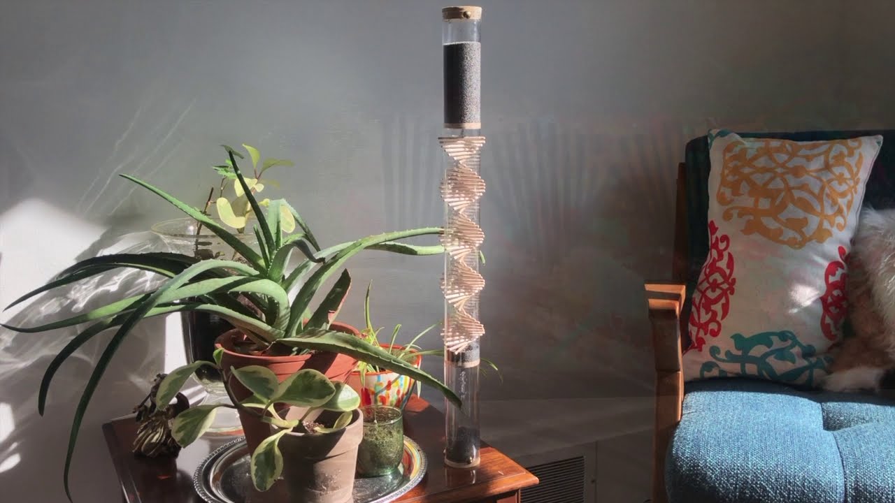 Rainstick Dreams — Intro to Spiral Sounds™ Rainsticks