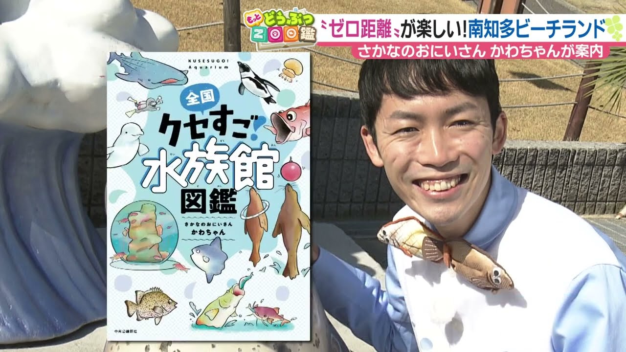 さかなのおにいさん かわちゃんが南知多ビーチランドの“ゼロ距離”の魅力ご案内【もっと どうぶつZOO鑑】2023年3月21日放送
