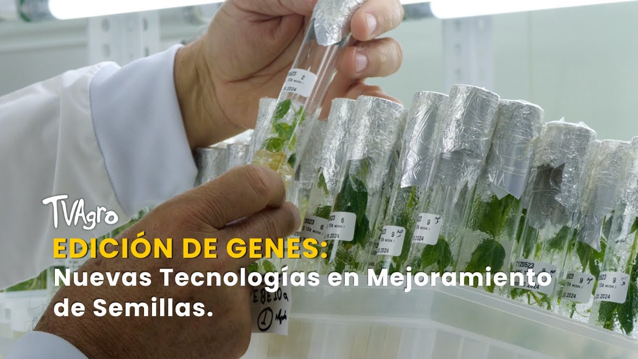Edición de Genes: Nuevas Tecnologías en Mejoramiento de Semillas - TvAgro por Juan Gonzalo Angel