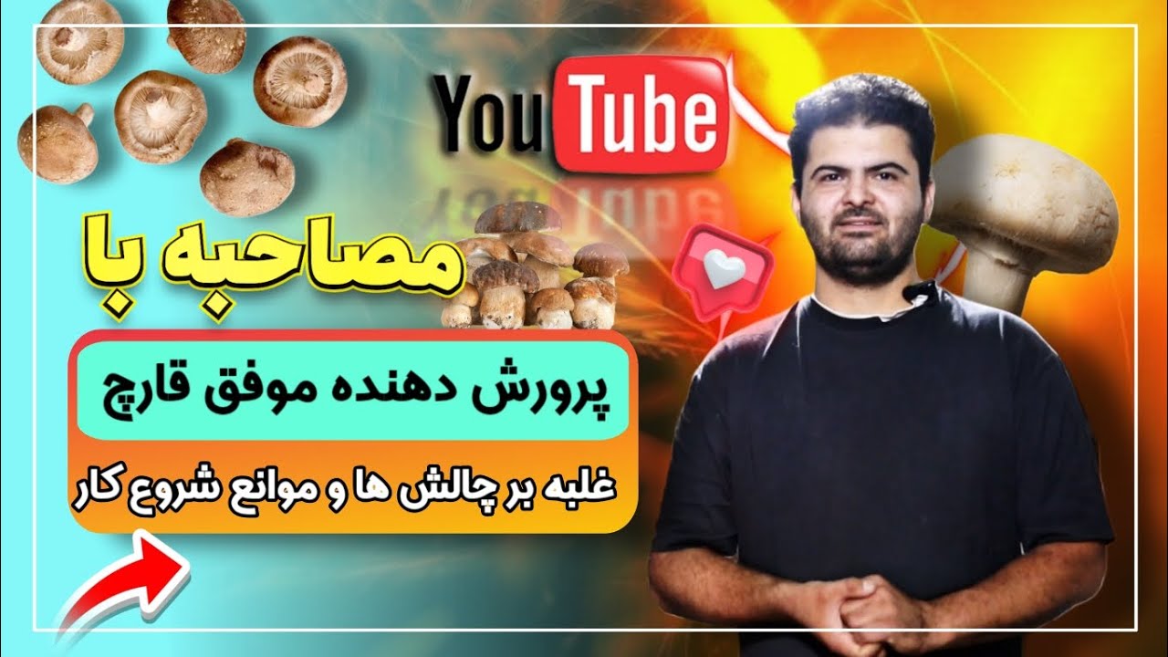 شروع پرورش قارچ از صفر تا سود