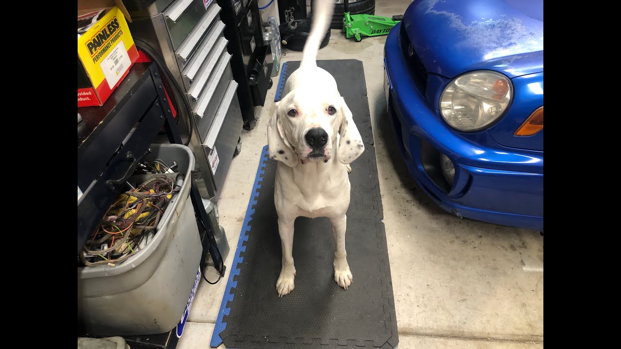 Pro Flow 4 Installation Part 3 - Headers and Fuel Line Installation