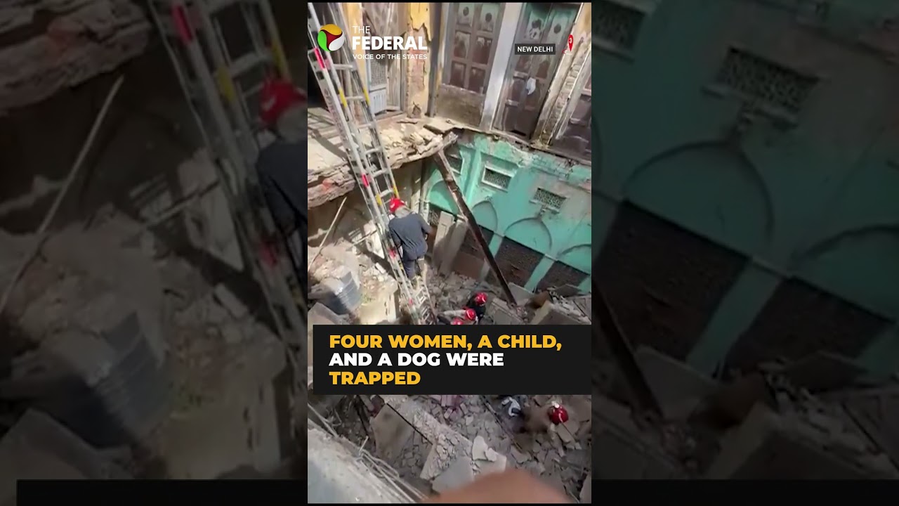 5 people and a dog rescued after staircase collapse in Delhi | #shorts