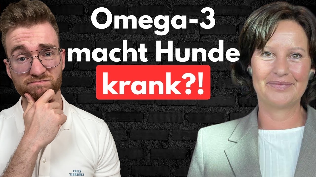 Warum Omega 3 für Hunde unterschätzt wird! Mit Hundeernährungscoach Nina Saller