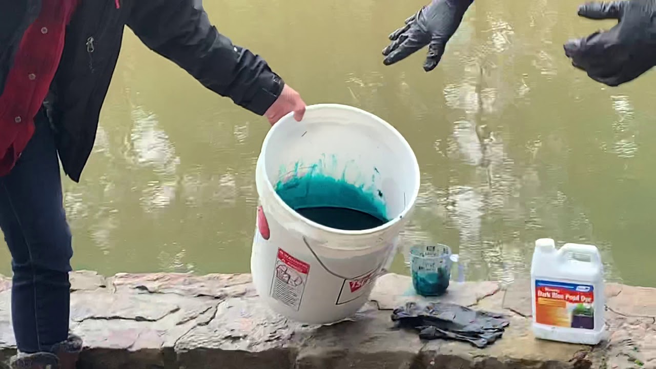 Using Pond Dye for Weed Control pt 1