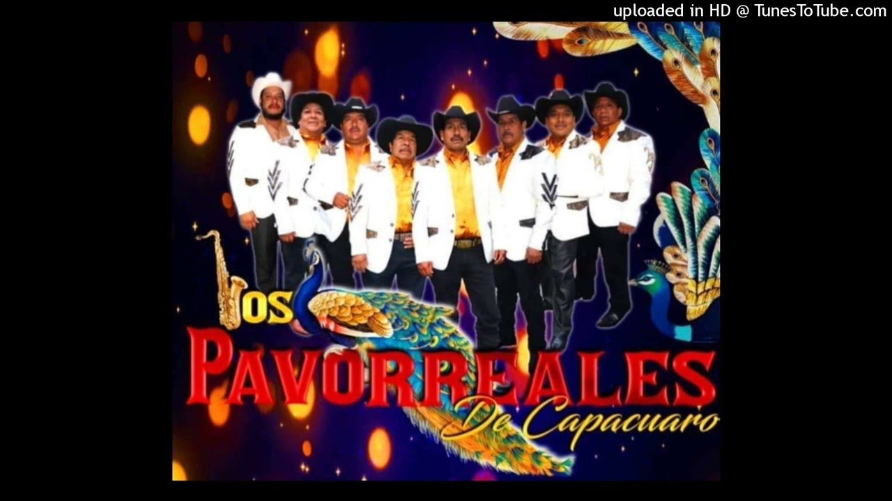 Dalia Tsitsiki- Los Pavorreales De Capacuaro