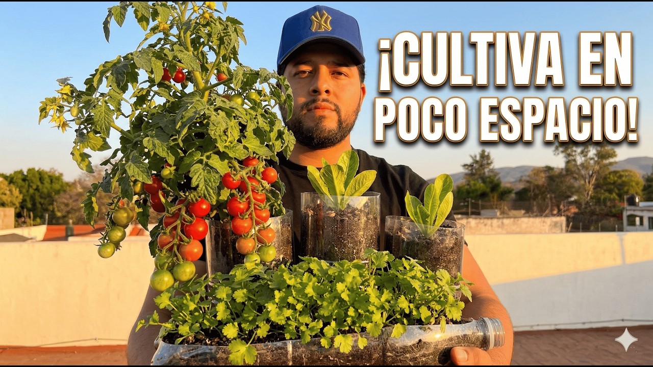 5 Cultivos en BOTELLAS DE PL&Aacute;STICO para tu Huerto Urbano | Gu&iacute;a completa de siembra 2026.
