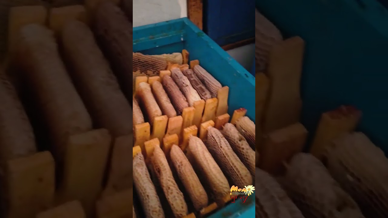 Крок до успіху - ефективне обеззаражування стільників
