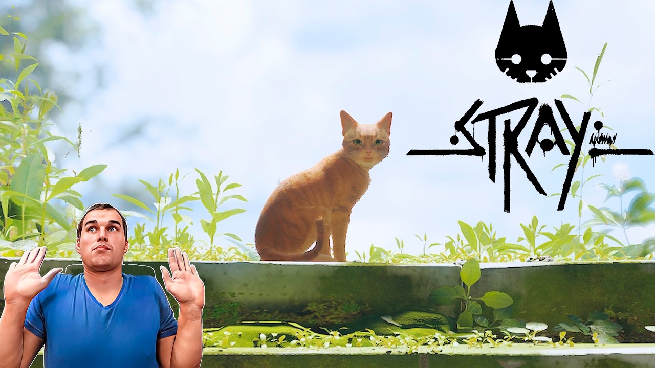 Котик бежал из тюрьмы. Долгожданная свобода (Финал)► Stray #7